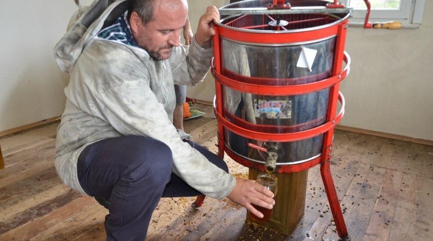 Ünlülerin kestane balı Ordu’dan