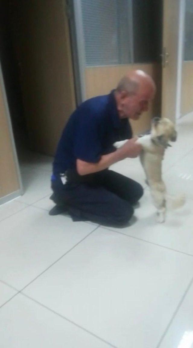 K&ouml;peğine b&ouml;yle kavuştu 1