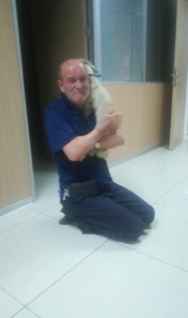 K&ouml;peğine b&ouml;yle kavuştu 2