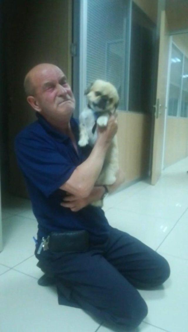 K&ouml;peğine b&ouml;yle kavuştu 3