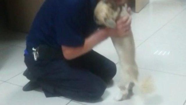 Köpeğine böyle kavuştu