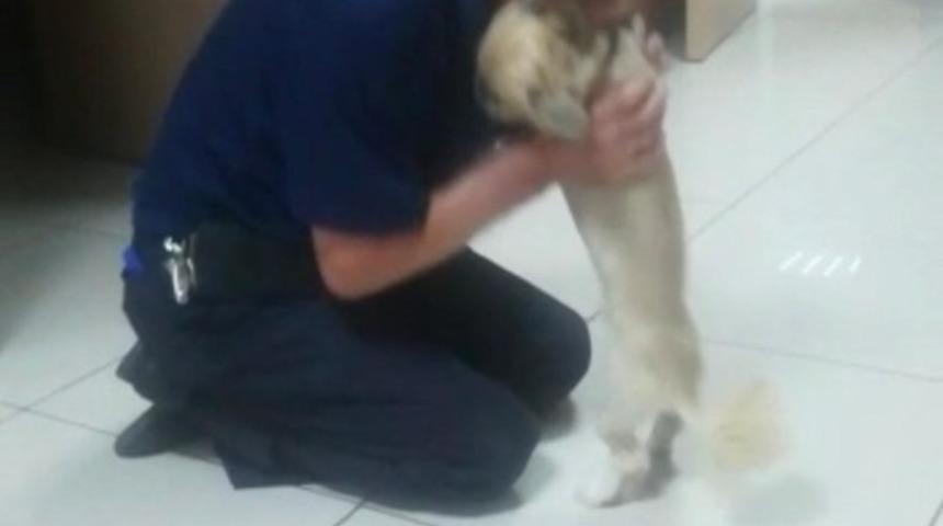 K&ouml;peğine b&ouml;yle kavuştu