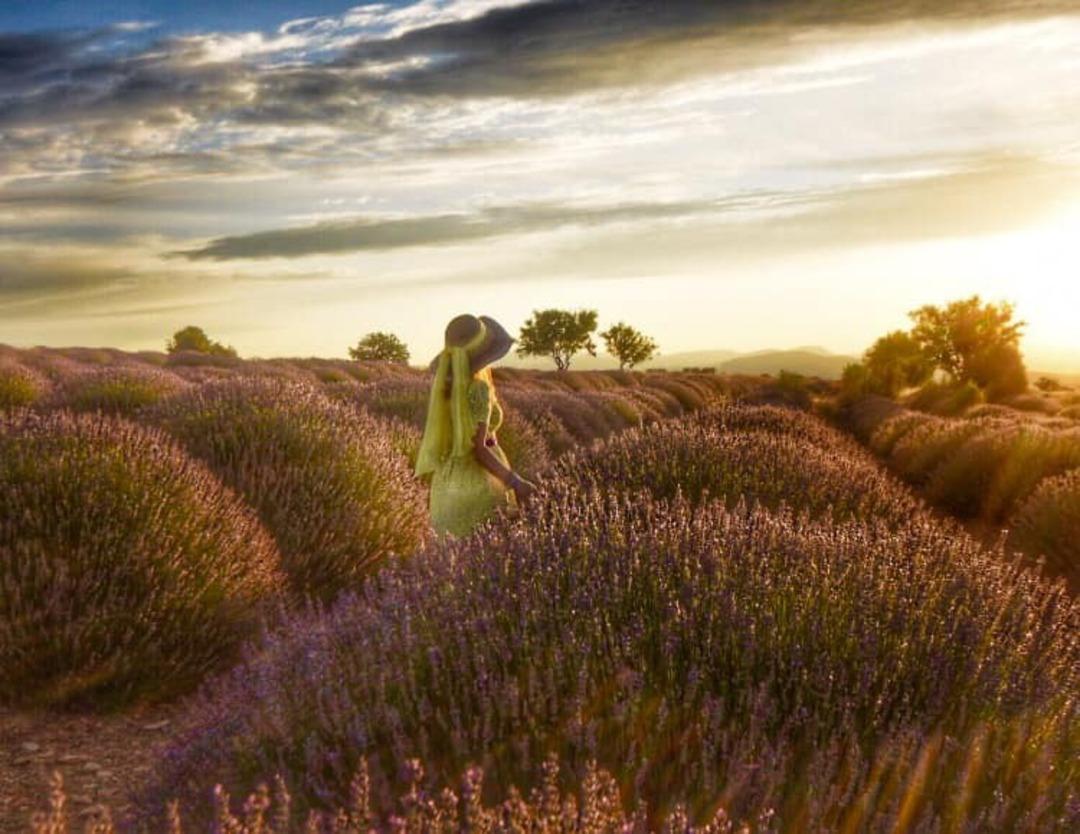 Manisalı fotoğraf&ccedil;ılar lavanta bah&ccedil;elerini fotoğrafladı
