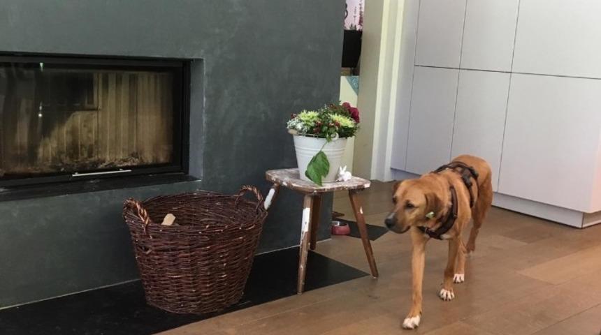 Barınaktan malikaneye yolculuk