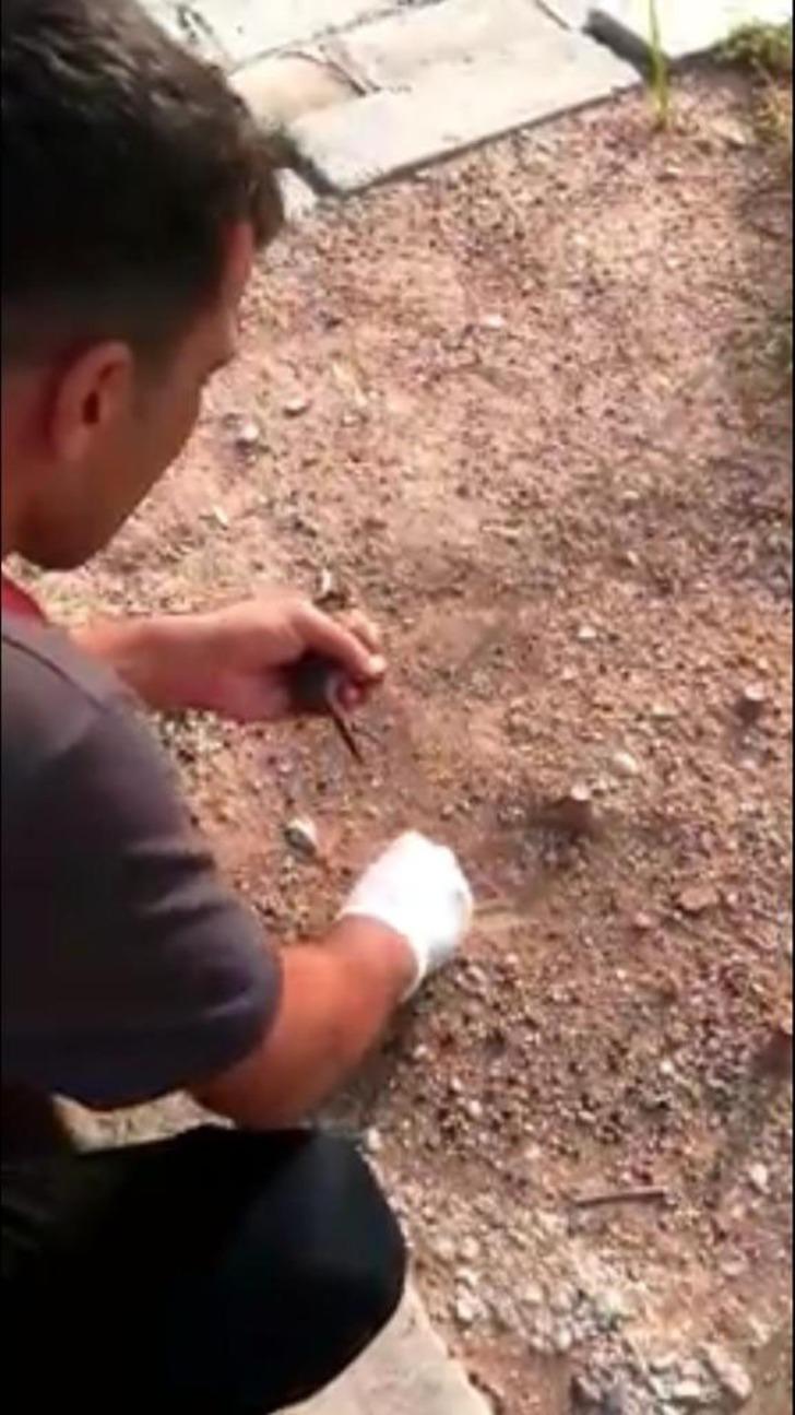 Ayağı yere atılan sakıza yapışan kuşu kurtardı G2