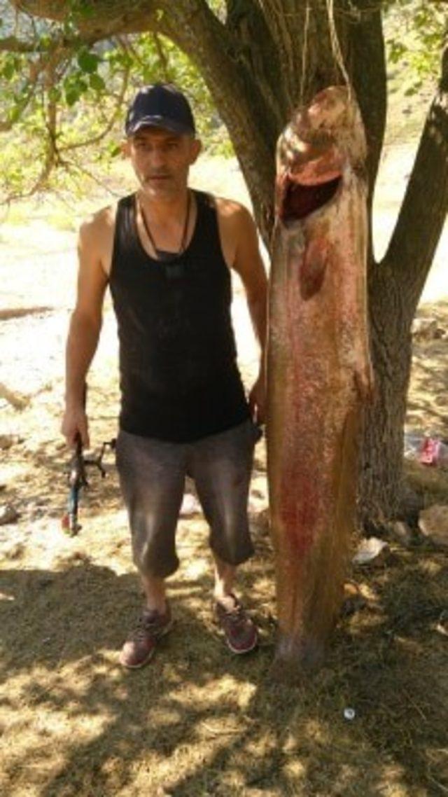 63 kiloluk dev yayın balığını olta ile yakaladılar