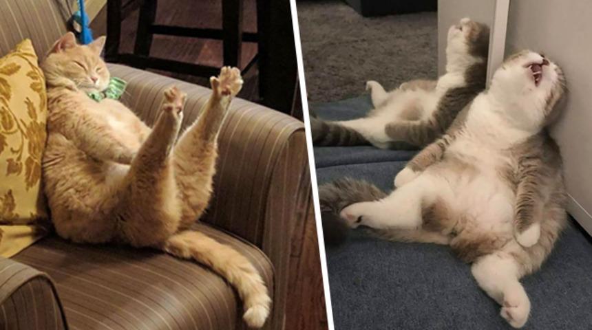 Böyle de uyunmaz ki! Gülme krizine gireceksiniz