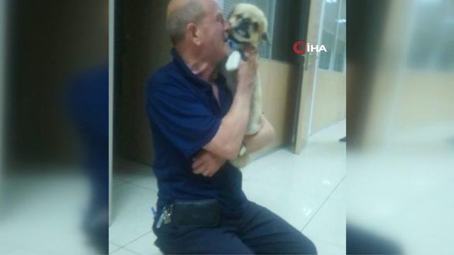 Çalınan köpeğine kavuşunca gözyaşlarına boğuldu