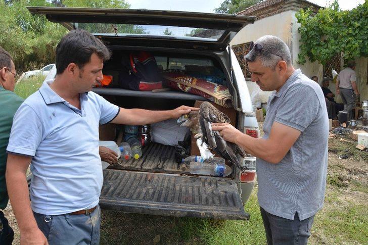 Yangından yaralı kurtulan kartal tedavi altına alındı G5