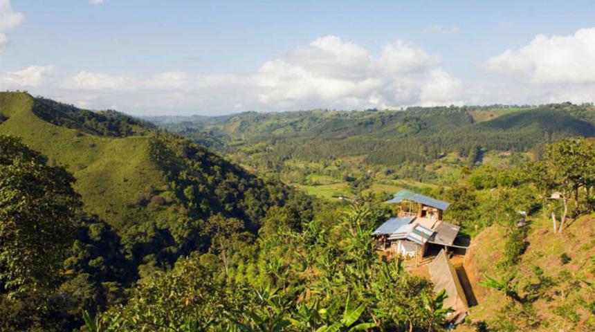 'İnfaz edip cesetleri domuzlara yedirdiler'