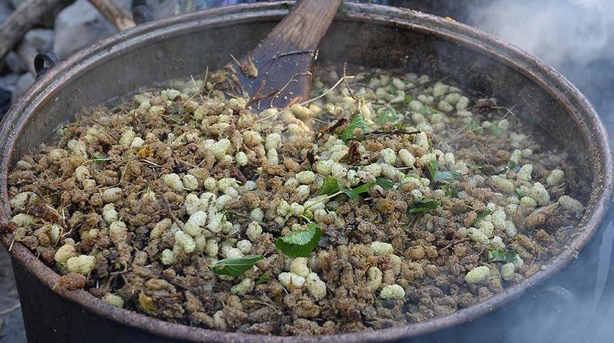 Dalından sofraya dutun pekmeze tatlı yolculuğu