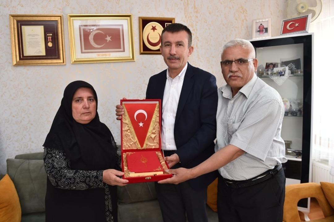 251 şehide vefa ormanı