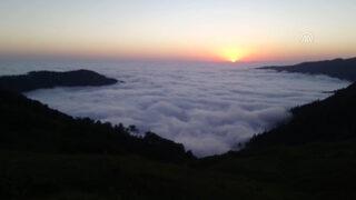 Yardımsever gezgin çift insanlara ve hayvanlara el uzatıyor