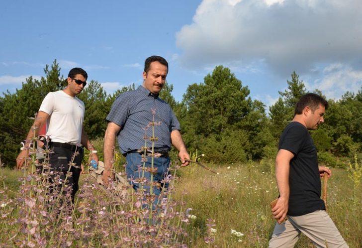 Kırka ve Tozman yolu turizme kazandırılıyor G5