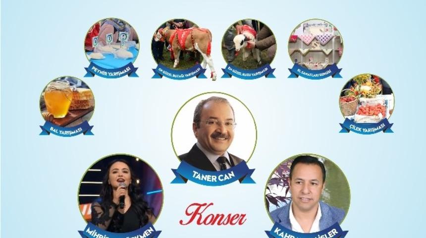 &Ccedil;ambaşı Yaylası hafta sonu şenlenecek