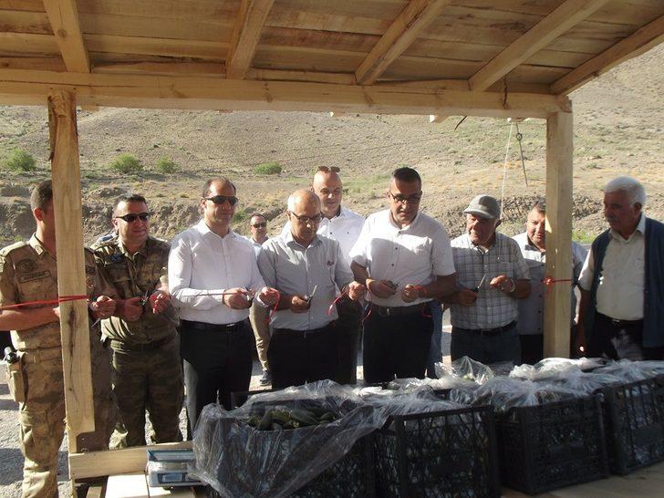 Tuzluca Belediyesinden üretime destek G3