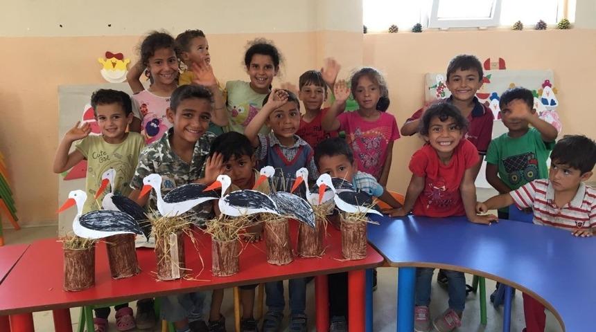 Mi&ccedil;oların yaz eğitimleri başladı