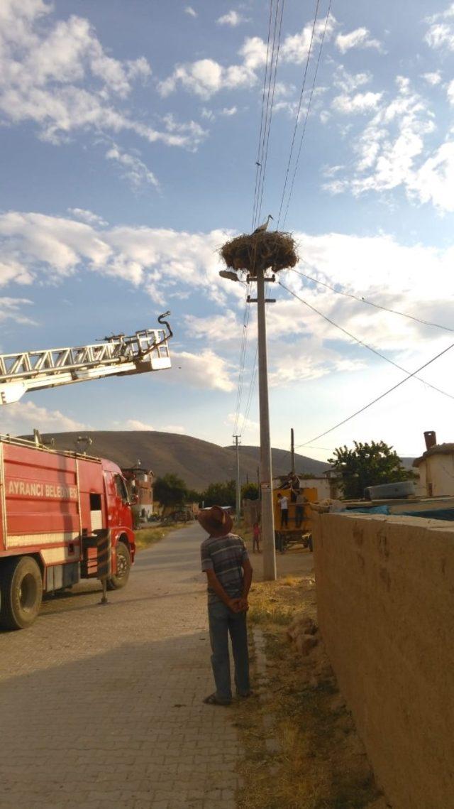 Dünyaya geldiği yuvada mahsur kalan leylek, özgürlüğüne kavuştu