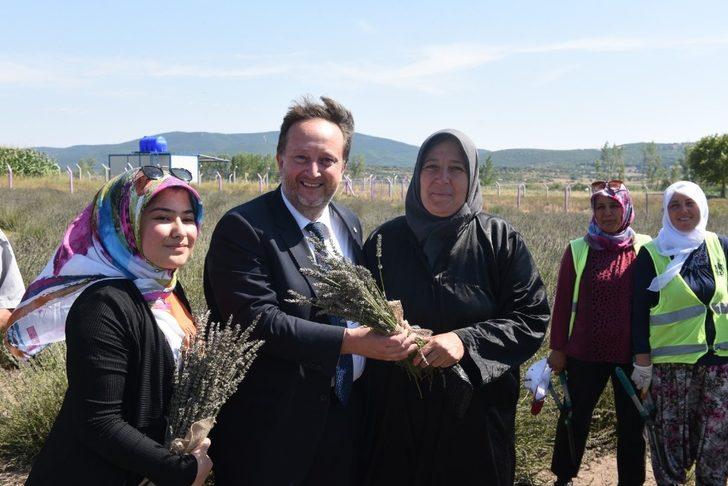 Karesi’yi lavanta kokusu sardı G1