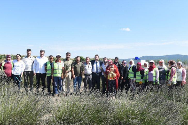 Karesi’yi lavanta kokusu sardı G4