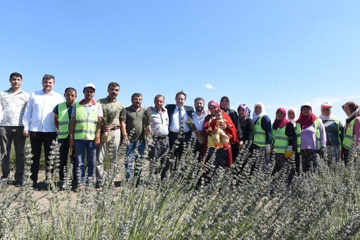 Karesi’yi lavanta kokusu sardı G5