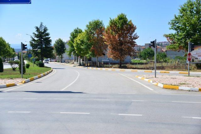 Erbaa’da festival hazırlıkları tamamlandı