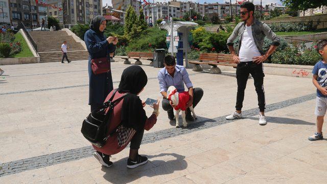 Kuzeninin hediye ettiği kuzuyu yanından ayırmıyor