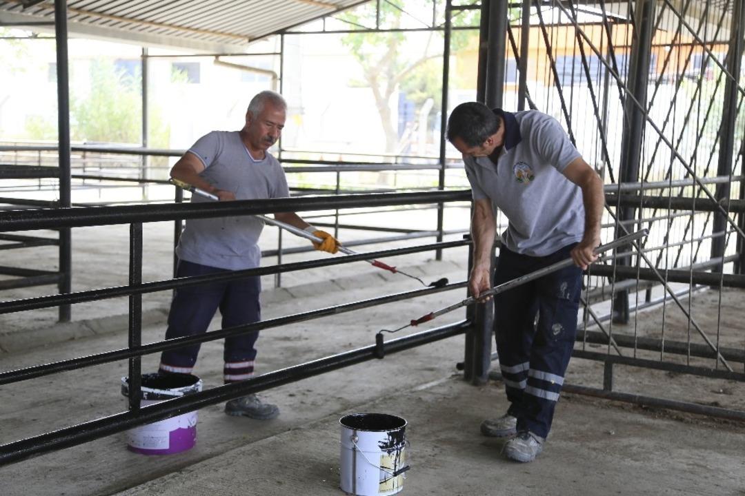 Efeler Belediyesi Hayvan Pazarı&rsquo;nda bakım ve onarım &ccedil;alışması başlattı