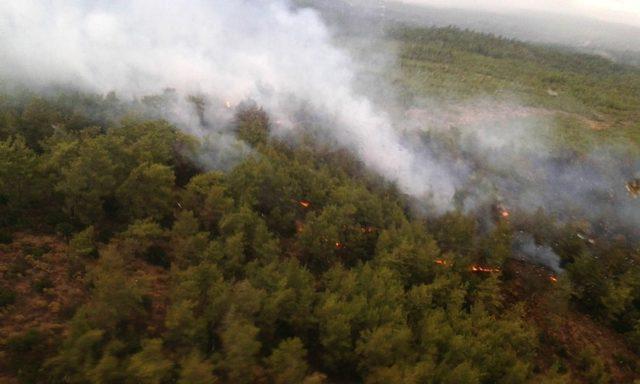 Muğla’da ve Aydın’da ’Yıldırım’ yangınları