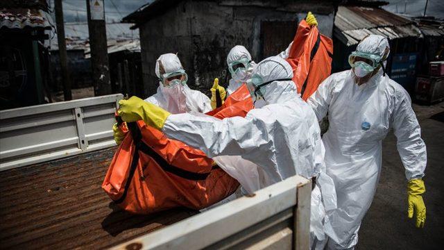Demokratik Kongo Cumhuriyeti'nde ebola paniği