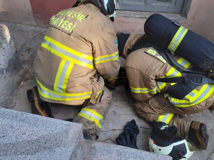 Dumandan etkilenen kedi kalp masajıyla hayata döndürüldü G3