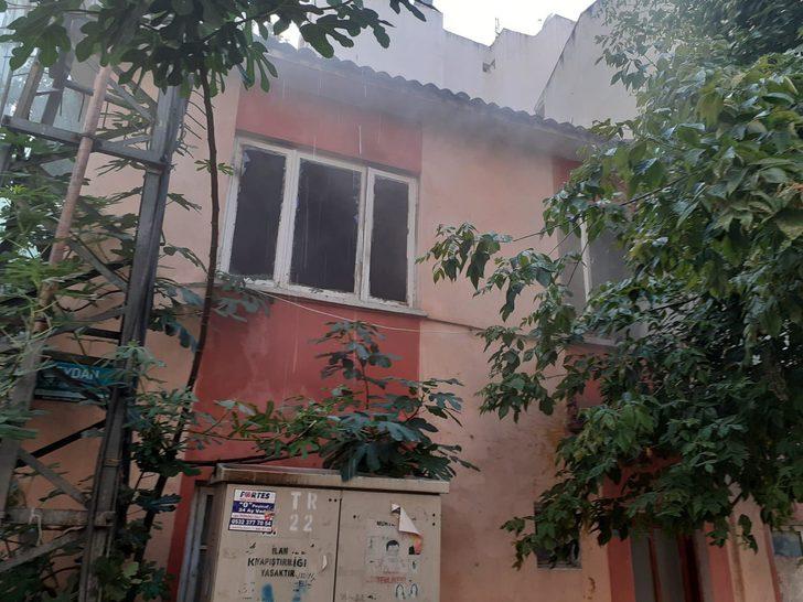 Dumandan etkilenen kedi kalp masajıyla hayata döndürüldü G4