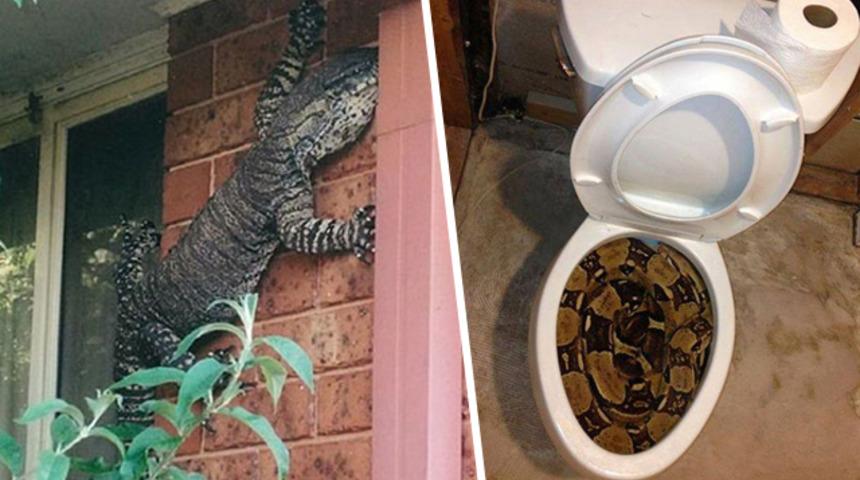 Avustralya’nın ürkütücü yüzünü görmeye hazır mısınız?