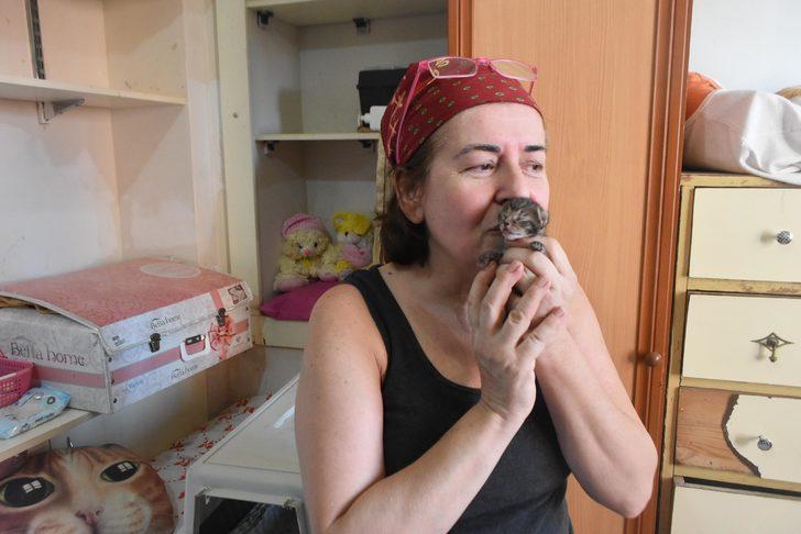 80 kedi ile aynı evde yaşıyor! G2