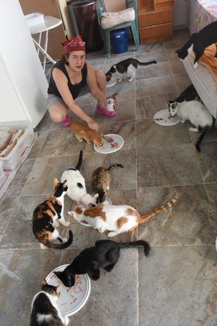 80 kedi ile aynı evde yaşıyor! G3