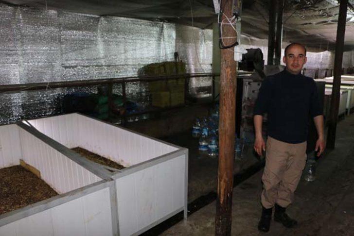 Sağlık memuru 30 milyon solucanı ile gübre üretiyor G2