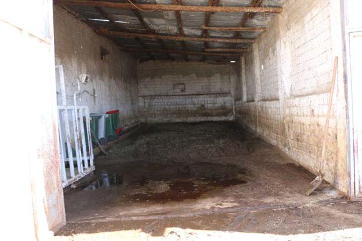 Sağlık memuru 30 milyon solucanı ile gübre üretiyor G3