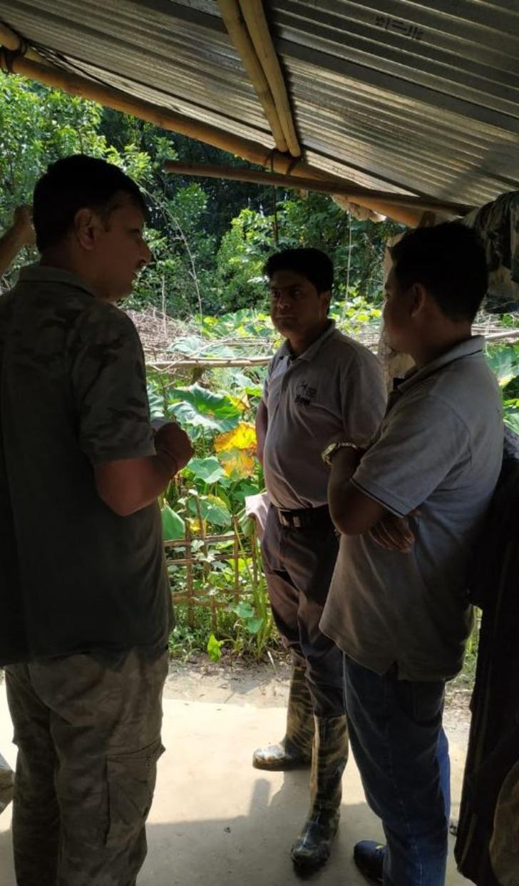 Selden kaçan kaplan eve sığındı G3