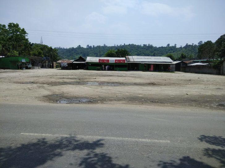 Selden kaçan kaplan eve sığındı G4