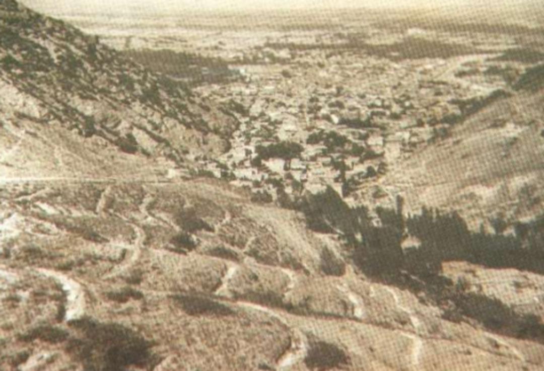 Kıra&ccedil; toprakları ormana &ccedil;evirdiler