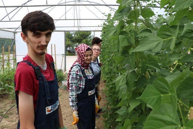 Özel öğrenciler kendi ektikleri sebzeler ile yemek yaptı