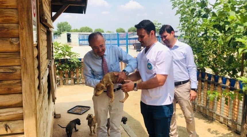 &Ouml;d&uuml;ll&uuml; projenin uygulaması devam ediyor