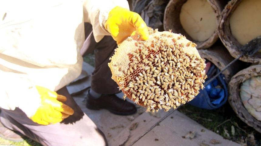 Siirt&rsquo;te tarım ve hayvancılığa 3 milyon 200 bin lira destek