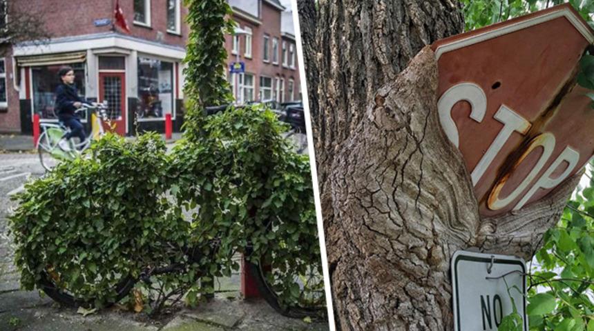 Medeniyete karşı savaşı kazanan doğa!