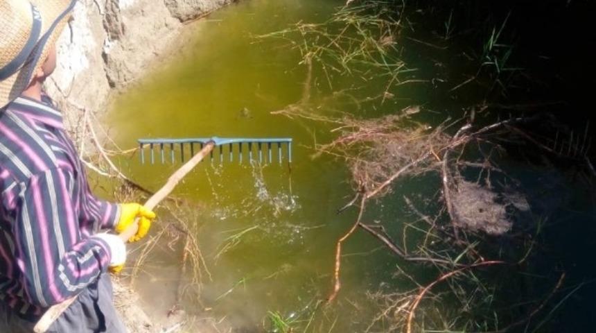 Sazlık alandaki obruk korkutuyor