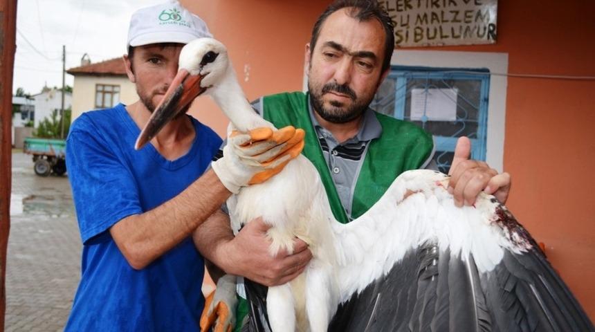 Yuvasından d&uuml;şen leylek B&uuml;nyan Belediyesi&rsquo;ne emanet