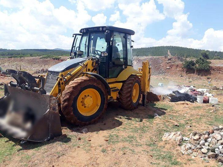 Yedikleri samandan zehirlenen 3 koyun telef oldu G1