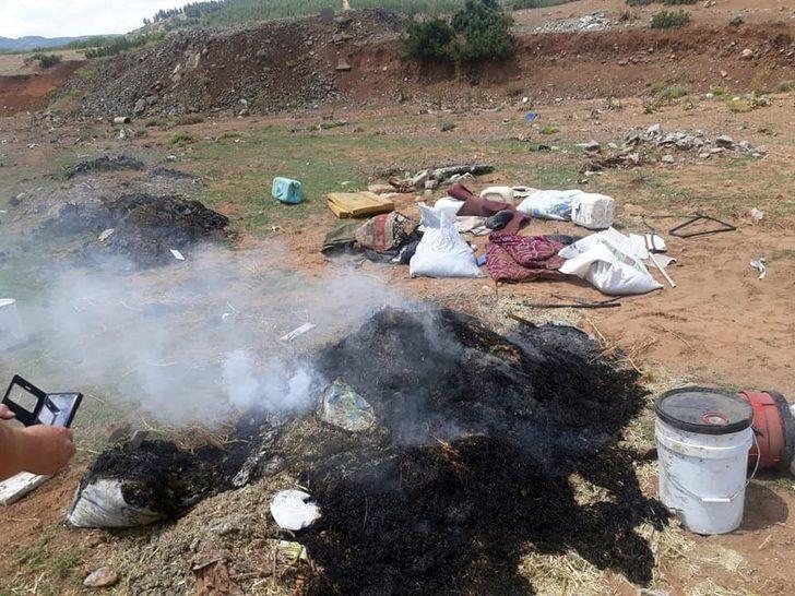 Yedikleri samandan zehirlenen 3 koyun telef oldu G3