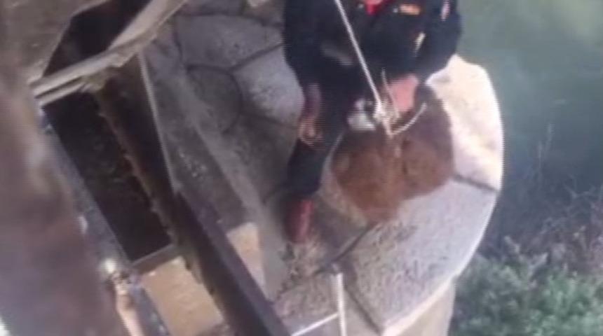 K&ouml;pr&uuml; altında mahsur kalan koyun kurtarıldı