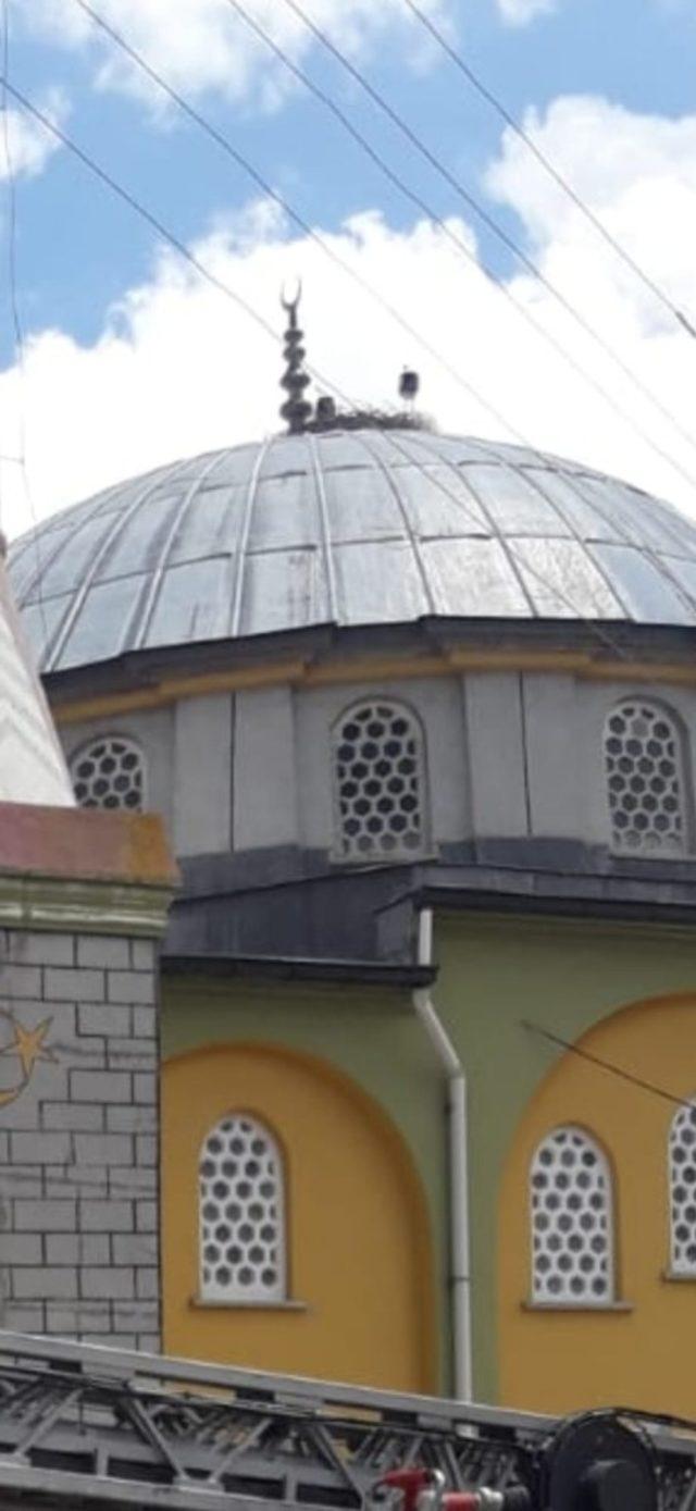 Minareden düşen yavru leylek için imam ve itfaiye seferber oldu